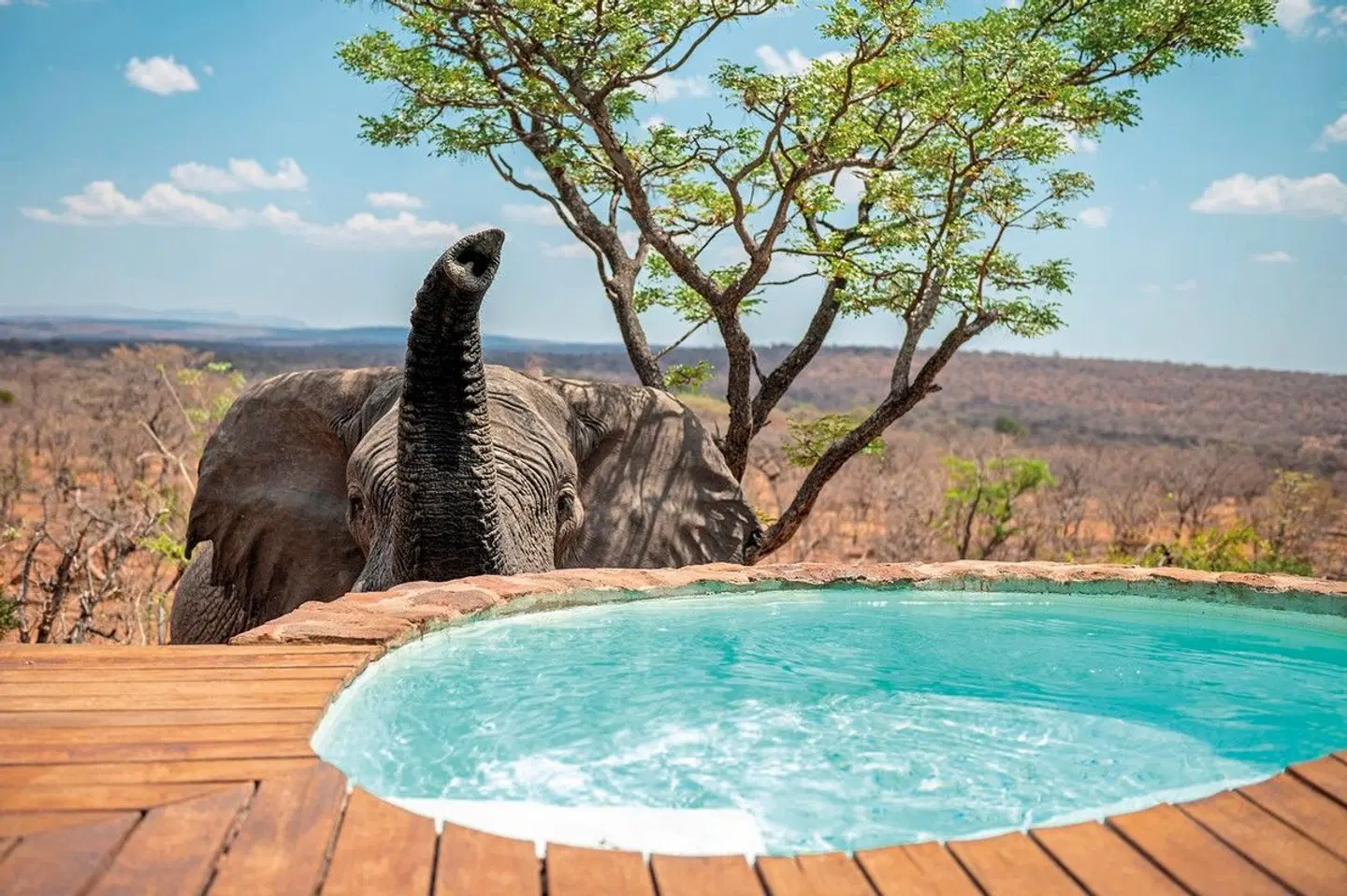 Elephants Crossing Lodge Pool