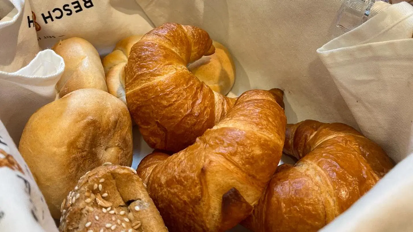 Jimmy's Apartments Dandelion Tiere