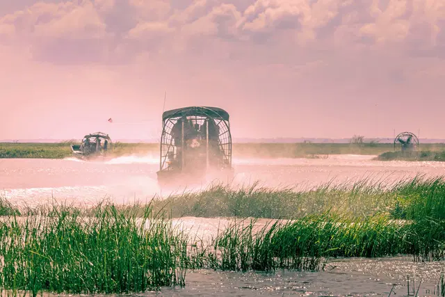 Florida Sunshine State Landschaft