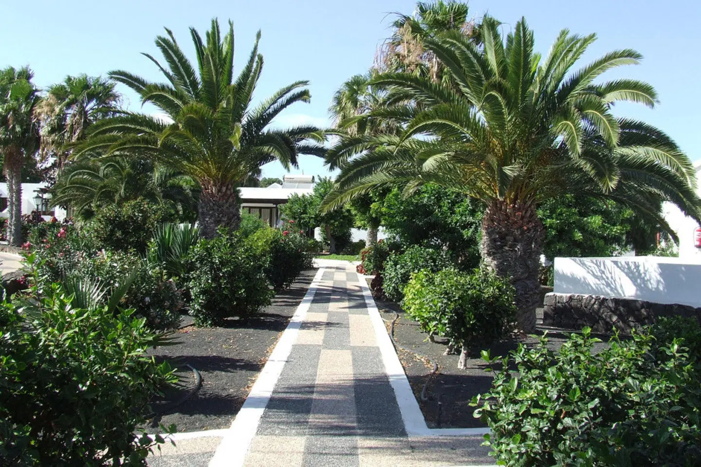 Playa Limones Garten