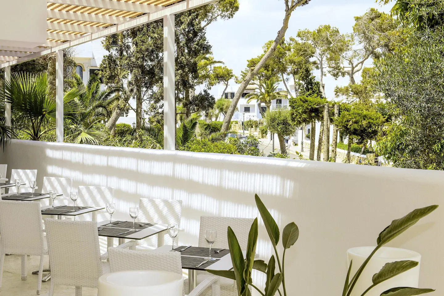 Sentido Fido Tucan Terrasse