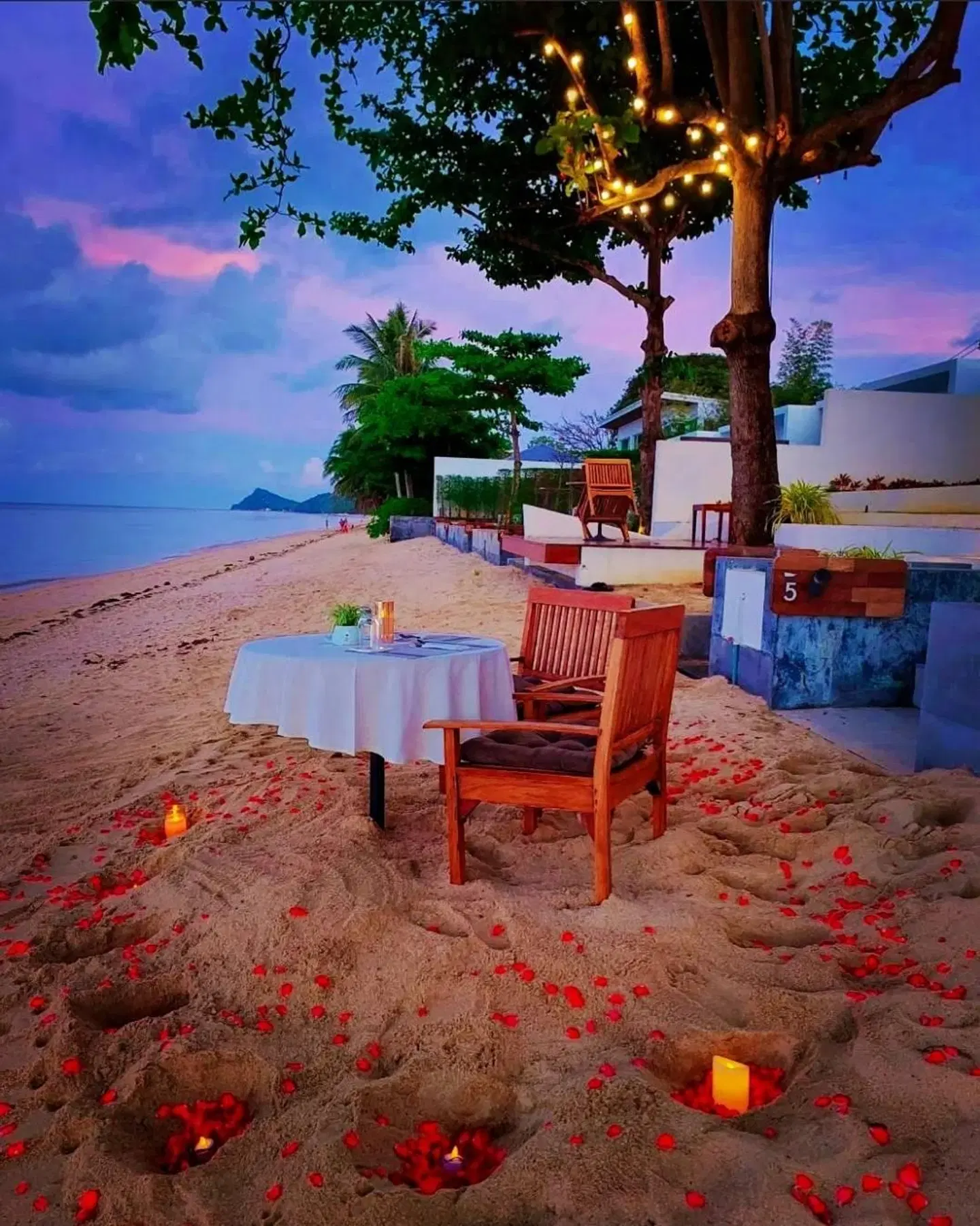 White Whale Beachfront Poolvilla Terrasse