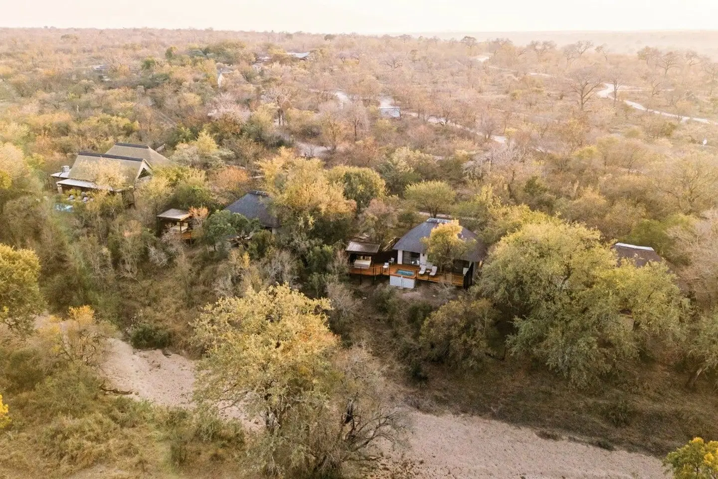 Thornybush Game Reserve Landschaft