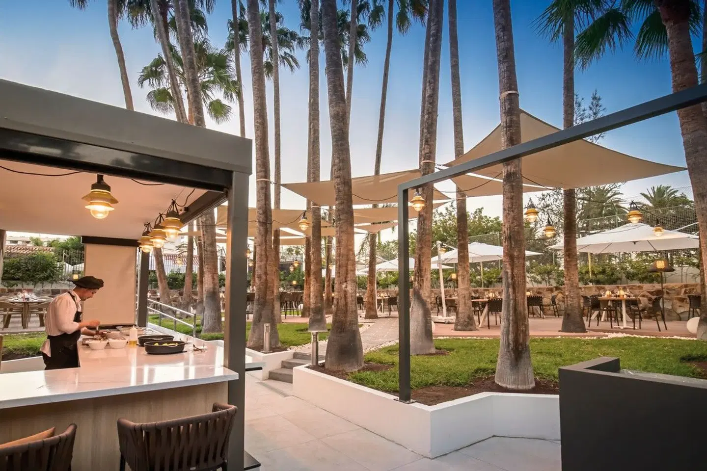 Barceló Margaritas ROYAL LEVEL Terrasse