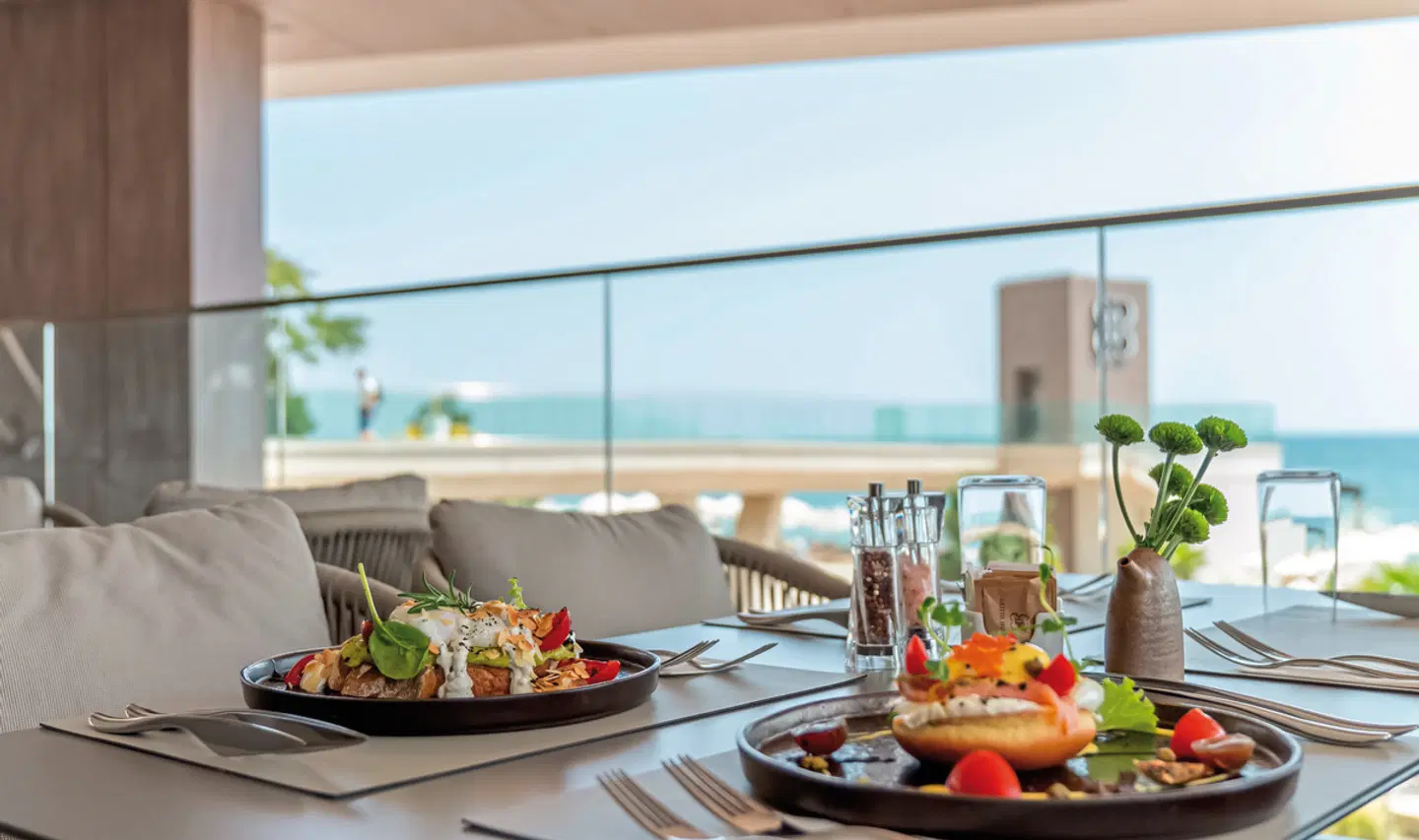 GRIFID Noa RESTAURANT