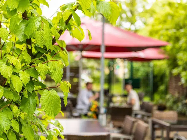 ibis Regensburg City Terrasse