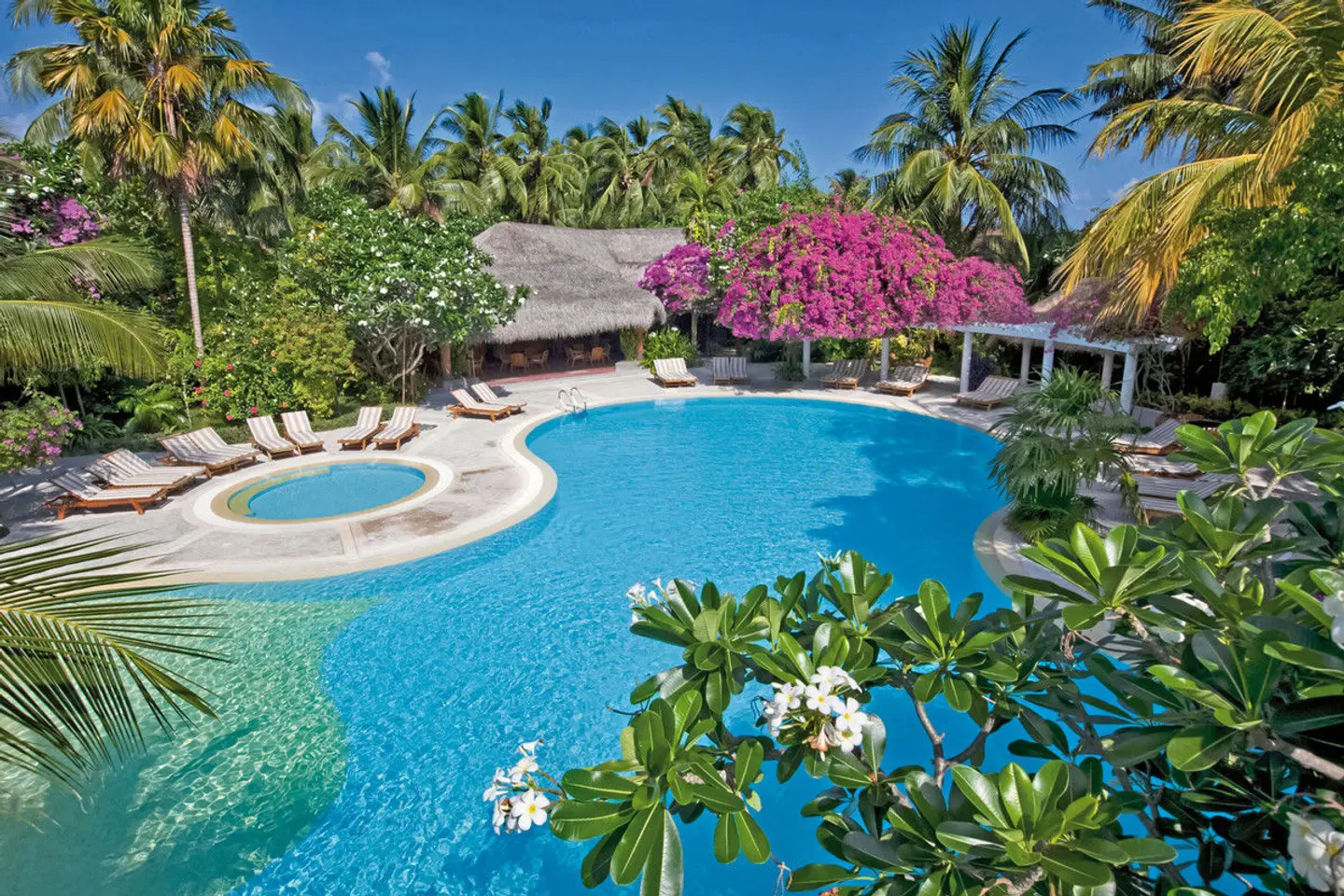 Niva Kuramathi Maldives Pool