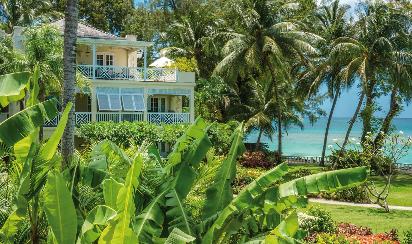 Coral Reef Club Garten