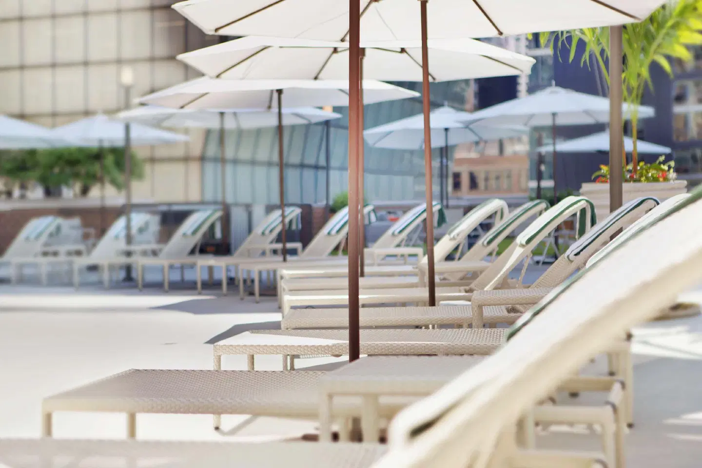 DoubleTree by Hilton Hotel Chicago - Magnificent Mile Pool