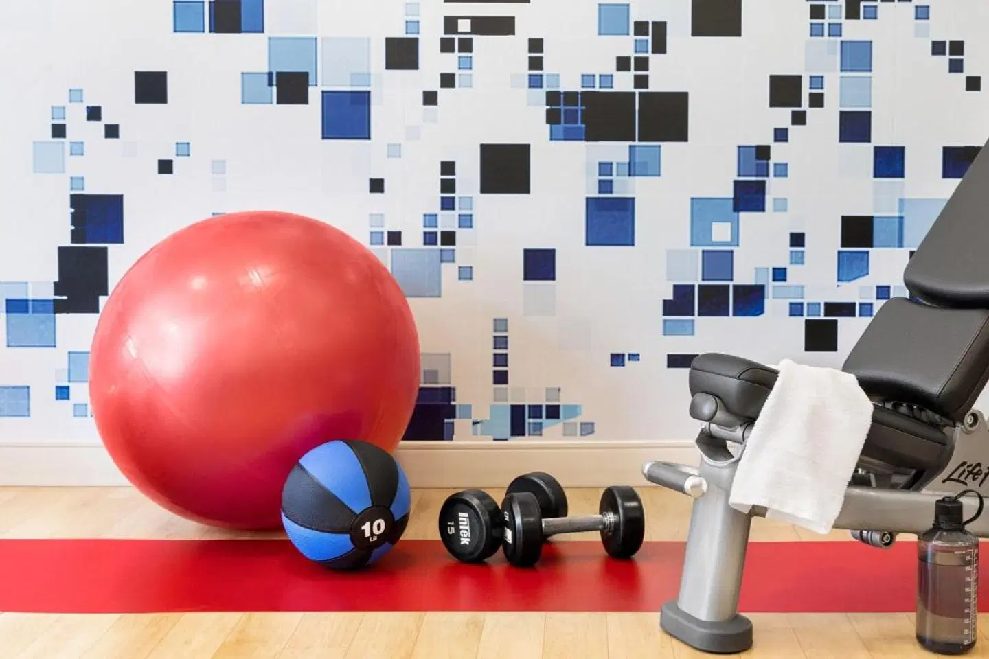 Sheraton Chicago OHare Airport Sport und Entertainment