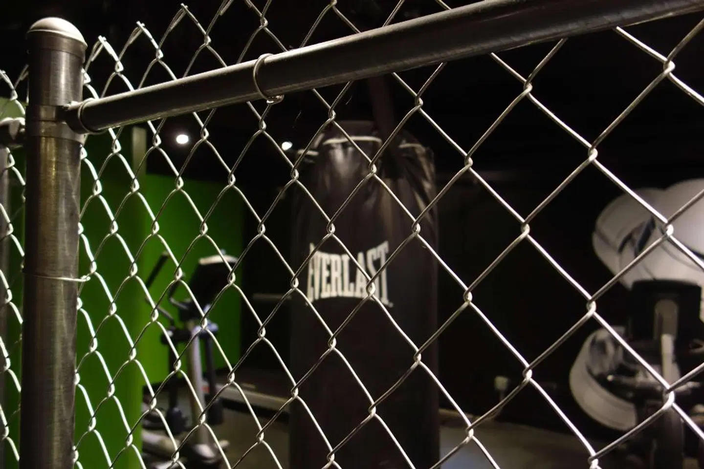 Acme Hotel Company Chicago Tiere