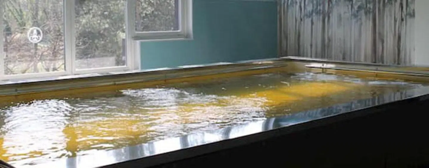 Hotel Terme di Castel San Pietro Wellness