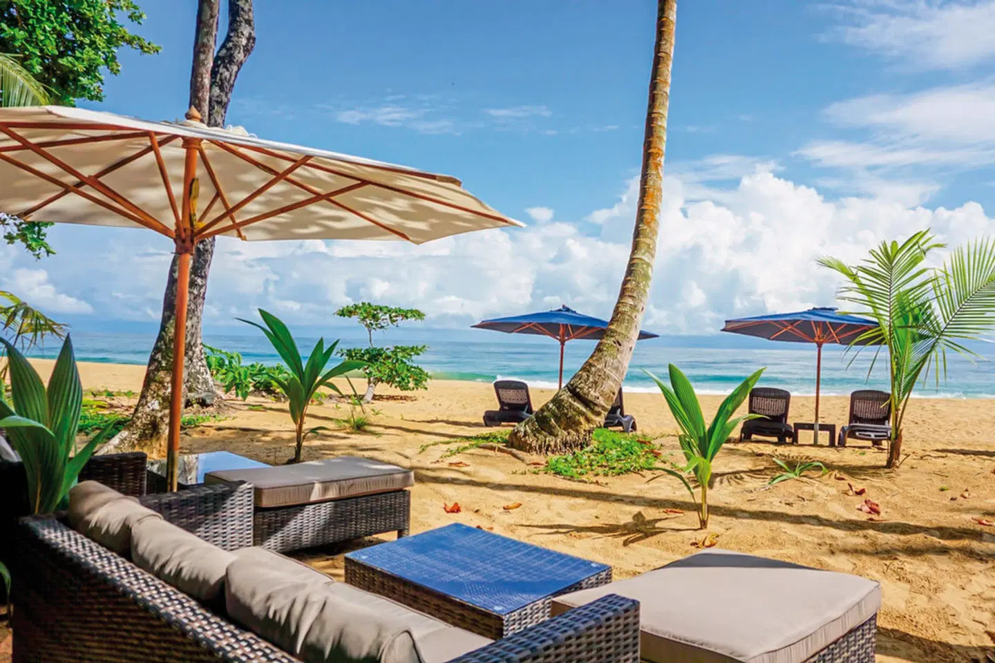 Island Plantation Terrasse