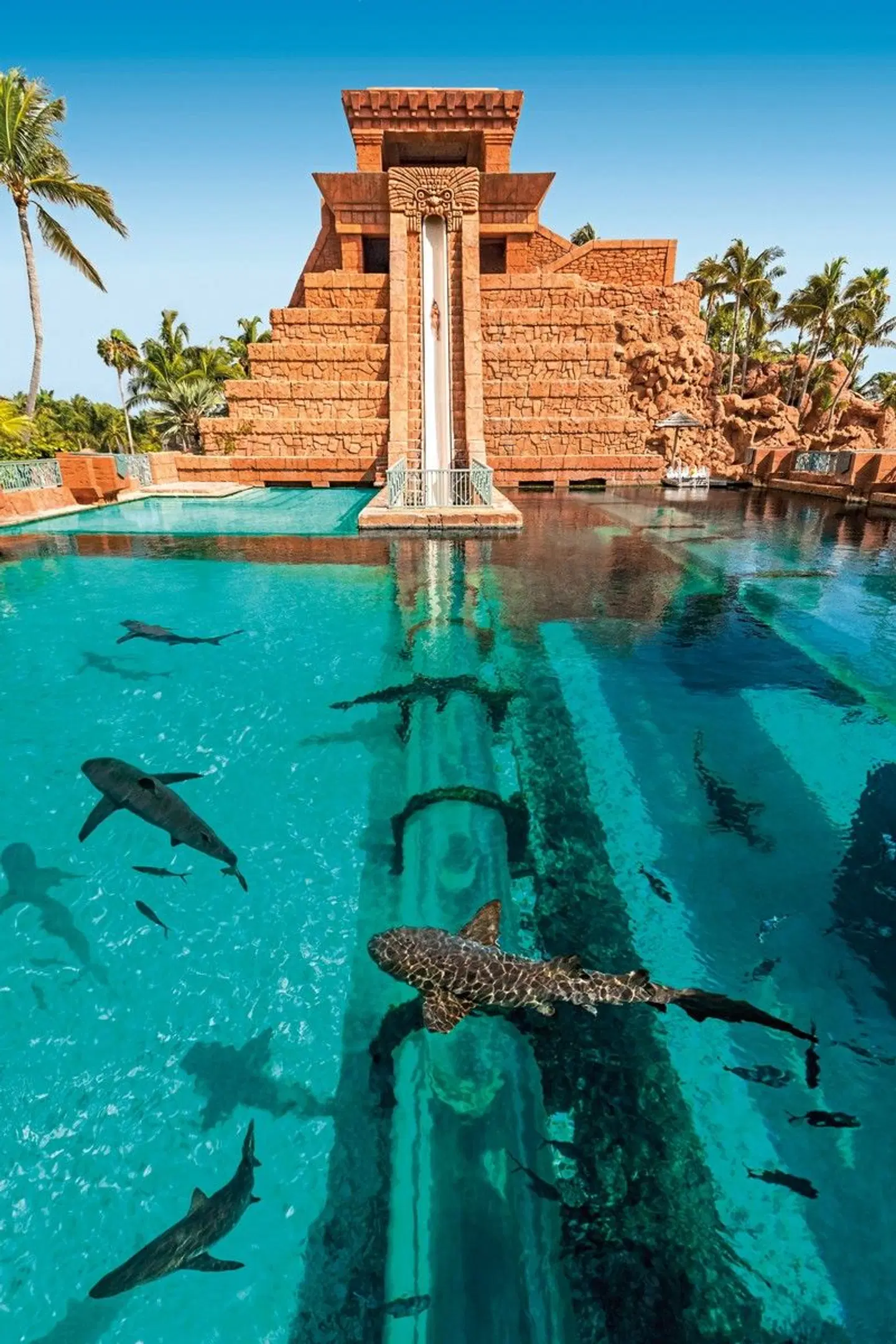 The Royal at Atlantis Pool