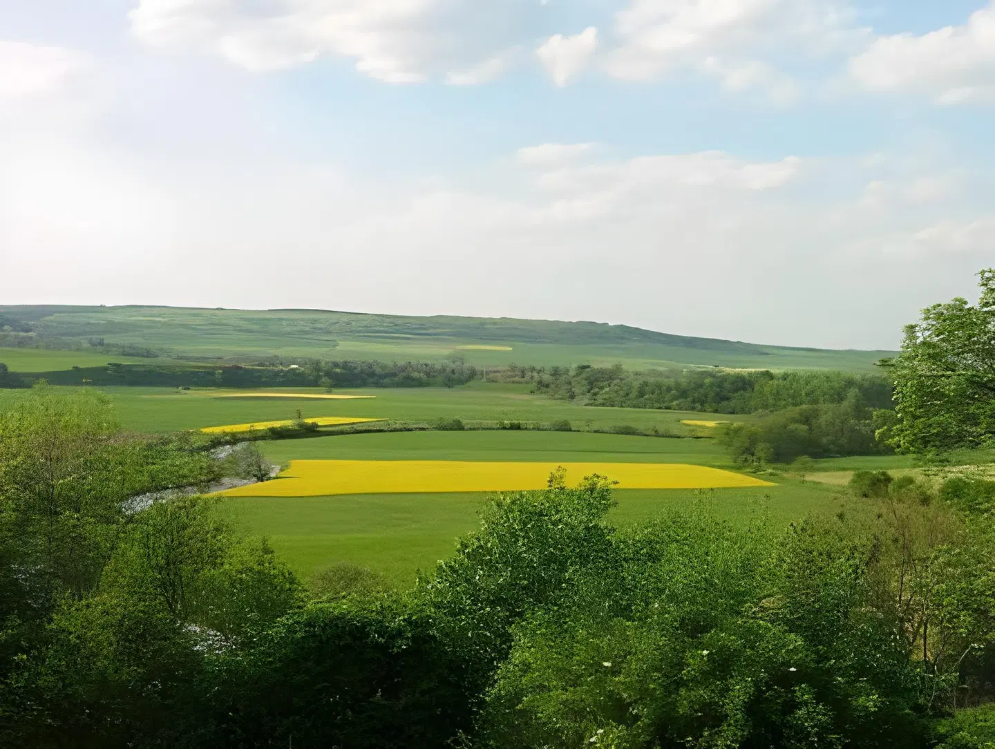 Brandner LANDSCAPE