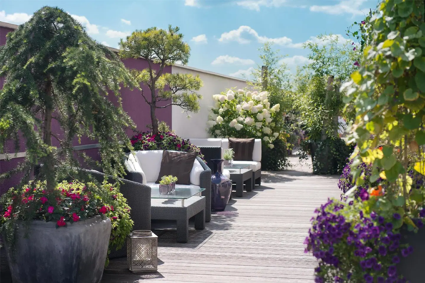 Aspria Terrasse