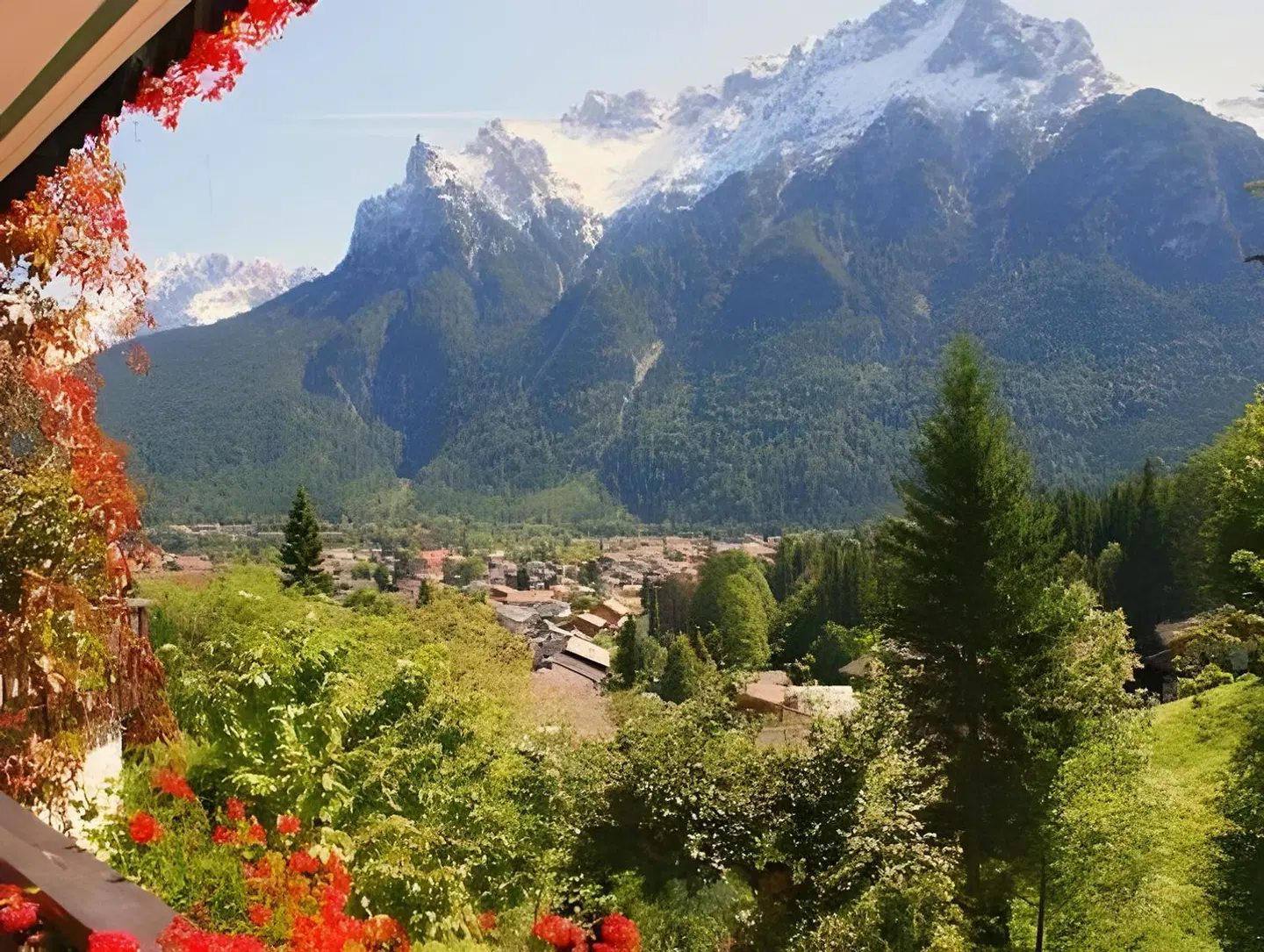 Lärchenhang LANDSCAPE