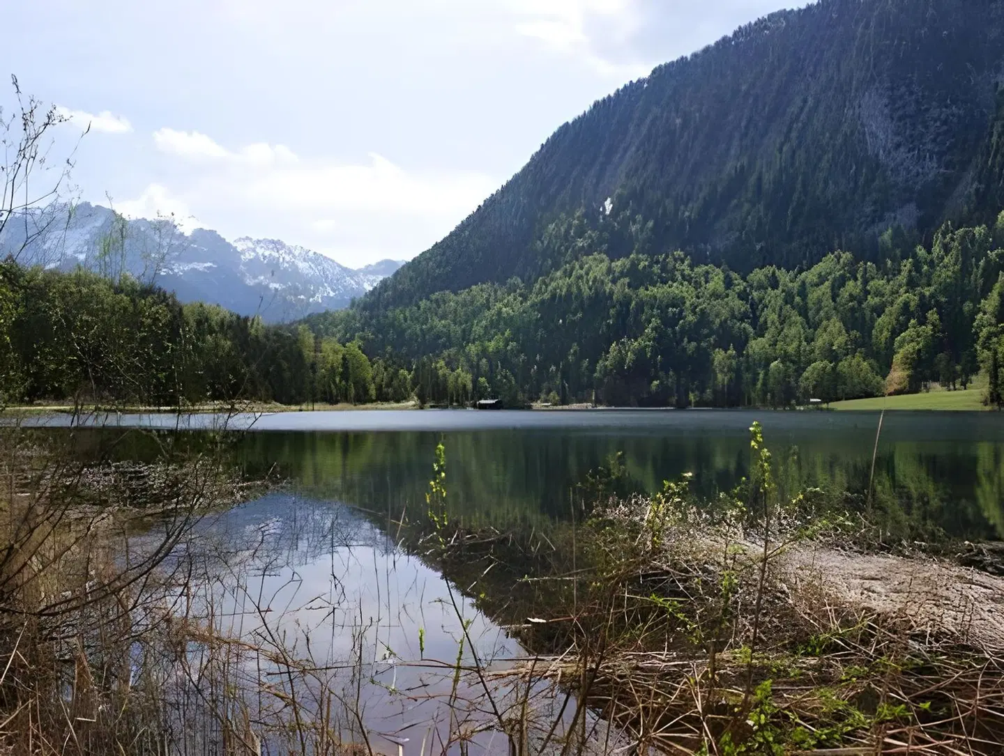 Lärchenhang LANDSCAPE