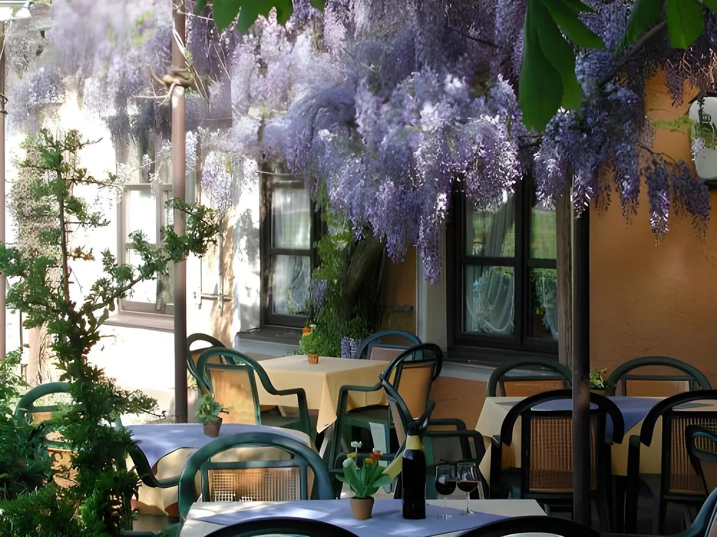 Waltraud Restaurant