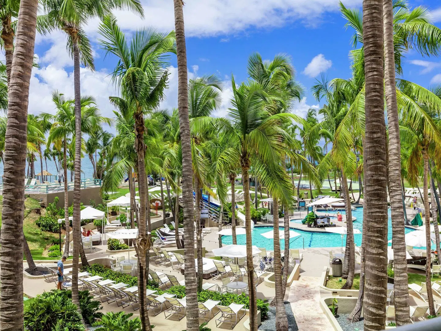 Hilton Ponce Golf & Casino Resort Garten