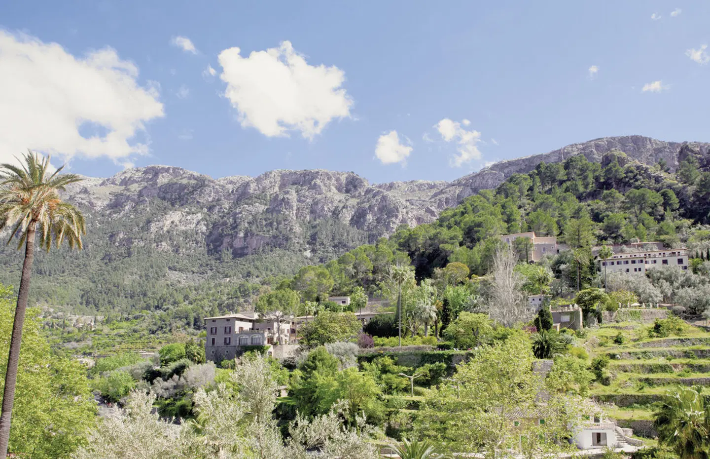 Es Moli LANDSCAPE
