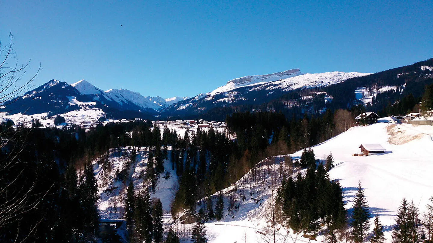 Bellevue LANDSCAPE