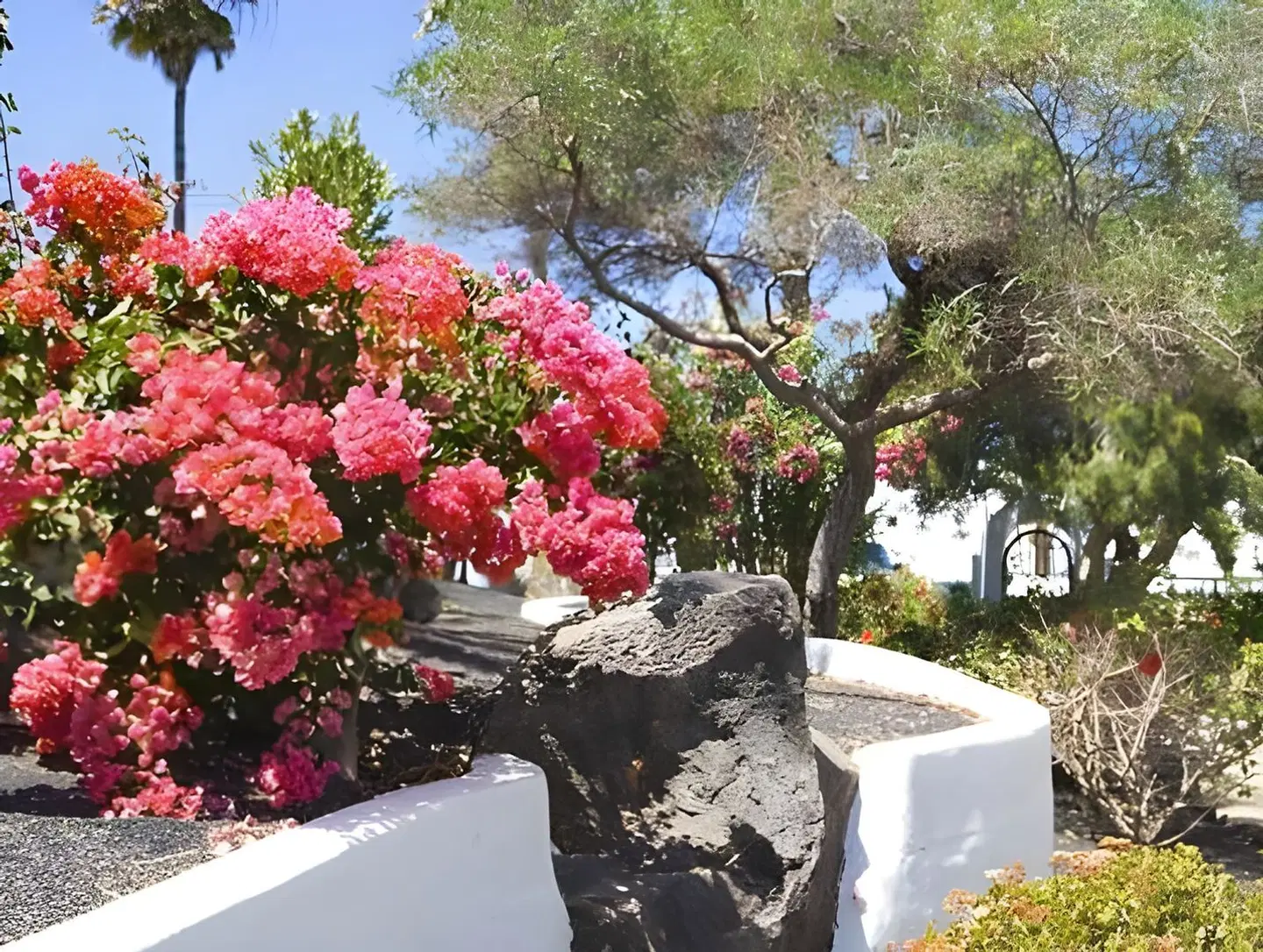 Princesa Ico Terrasse