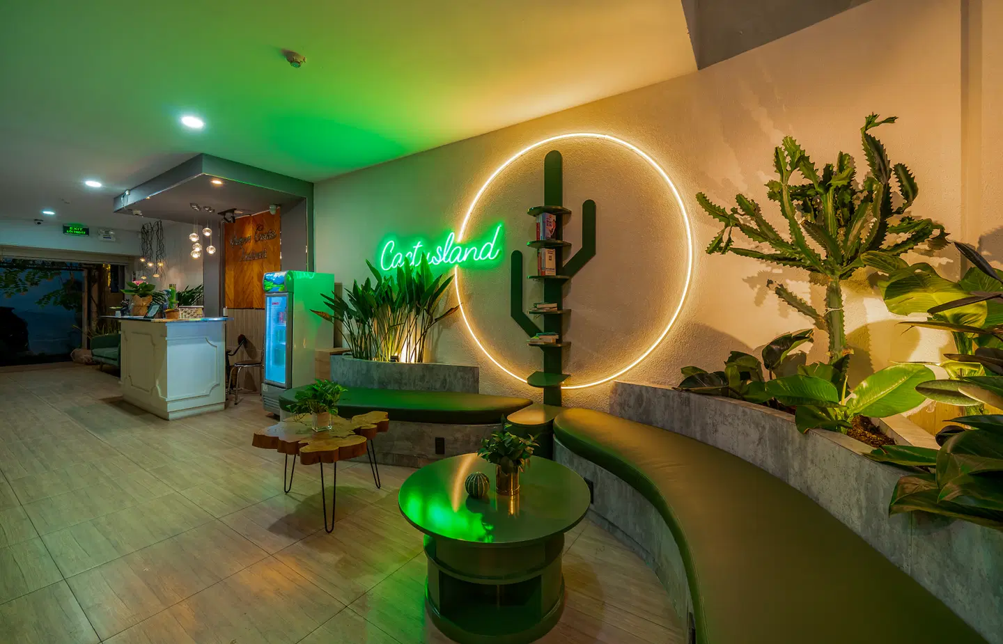 Cactusland Apartment Bar
