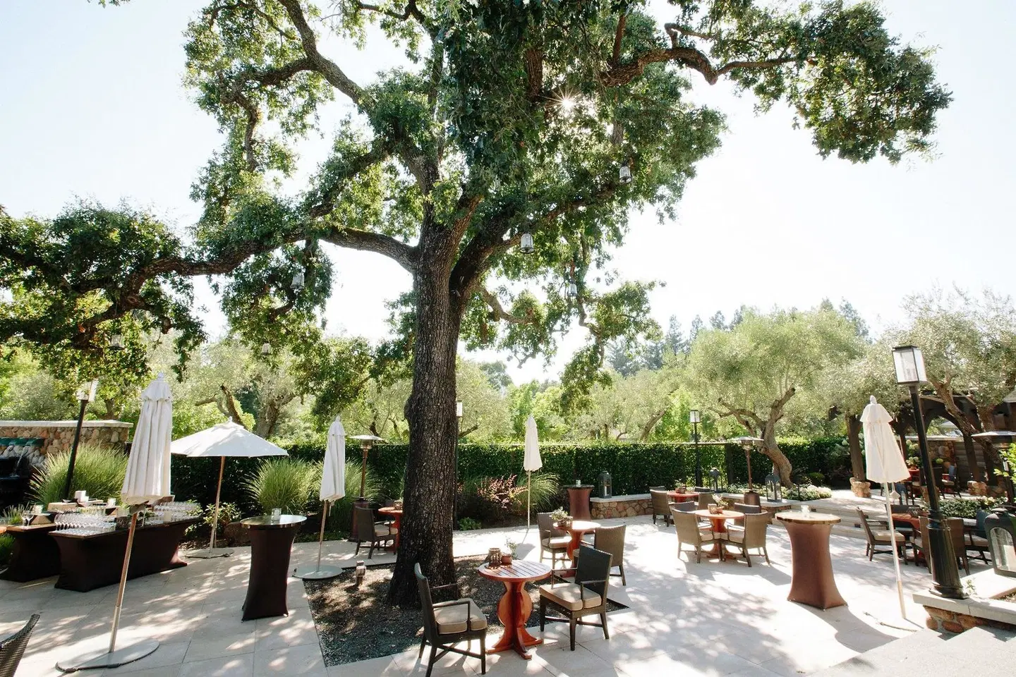 Yountville Terrasse