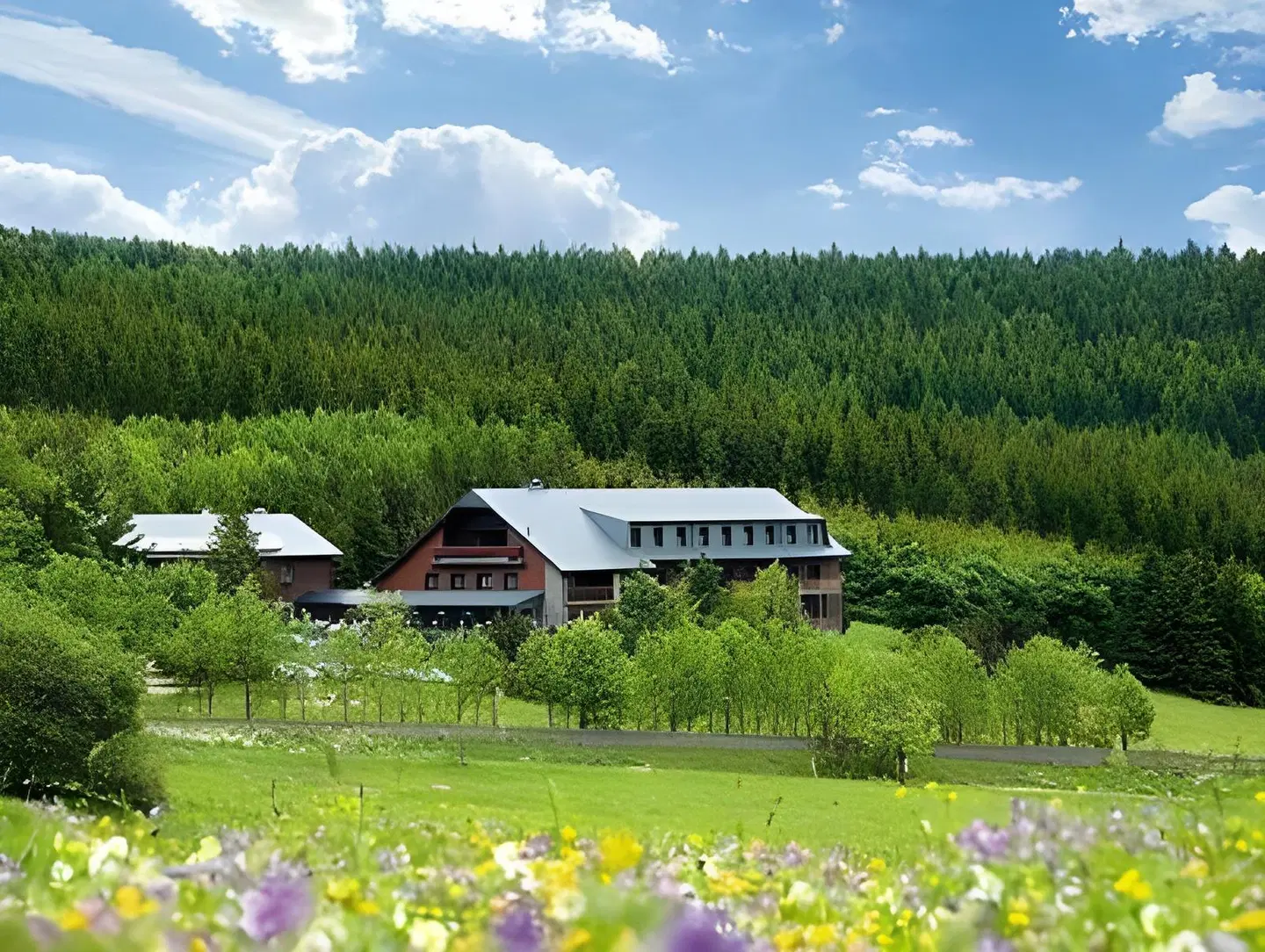 Jens Weißflog Garten