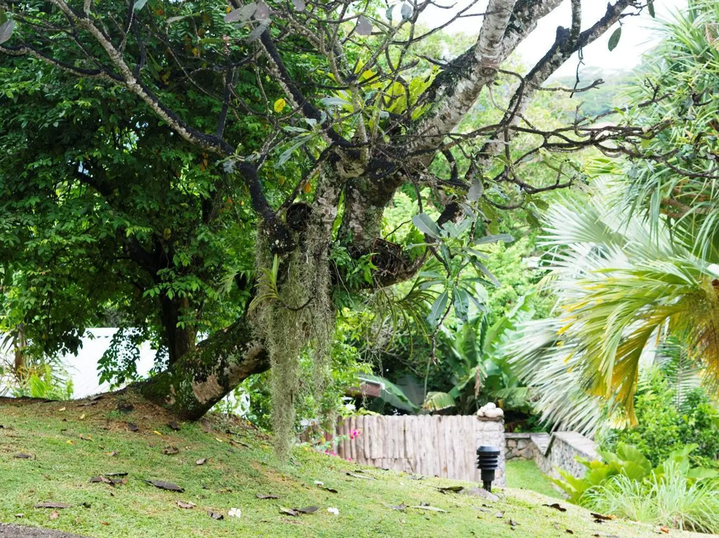Anse Soleil Resort Garten