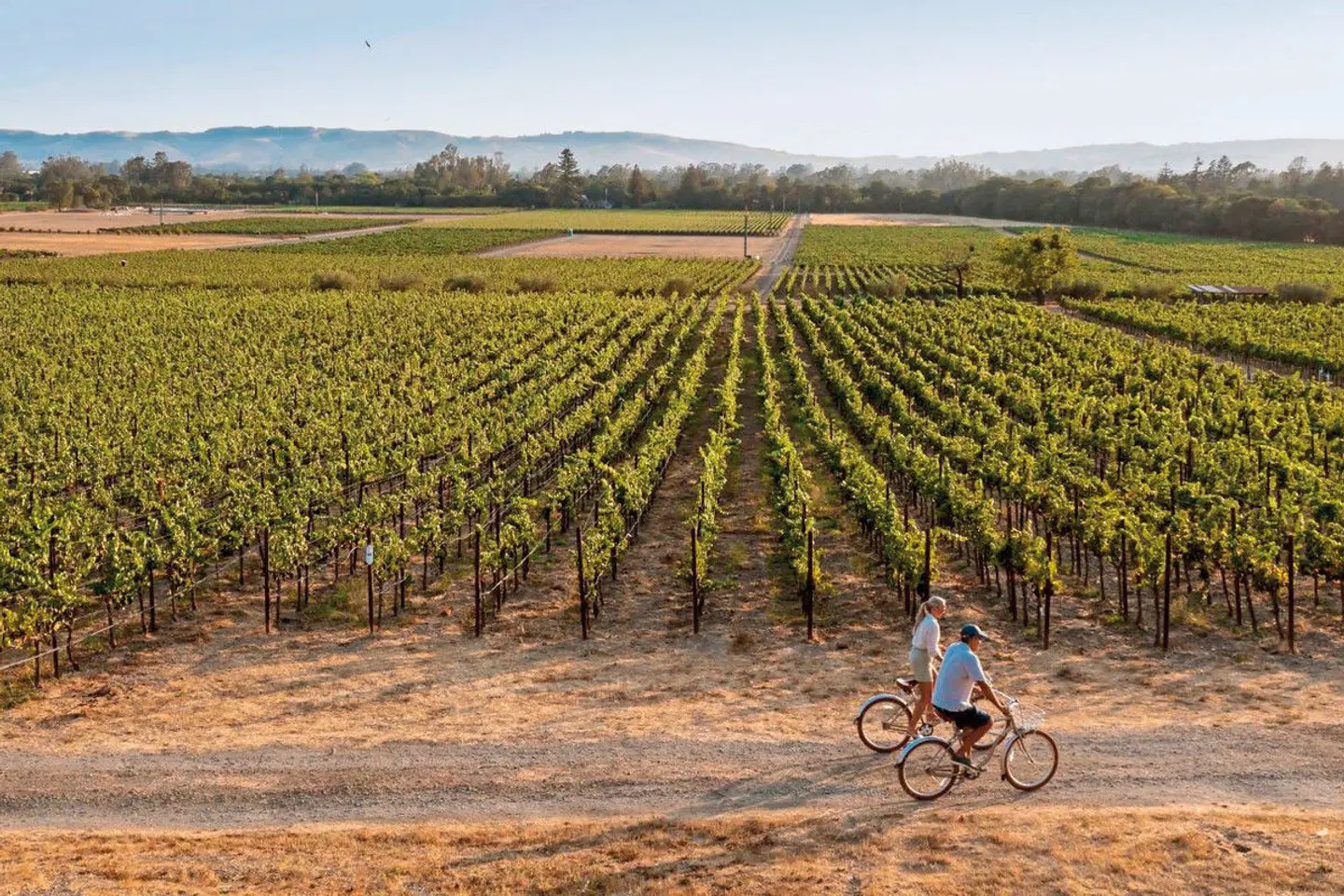 The Lodge at Sonoma Resort, Autograph Collection SPORTS_AND_LEISURE
