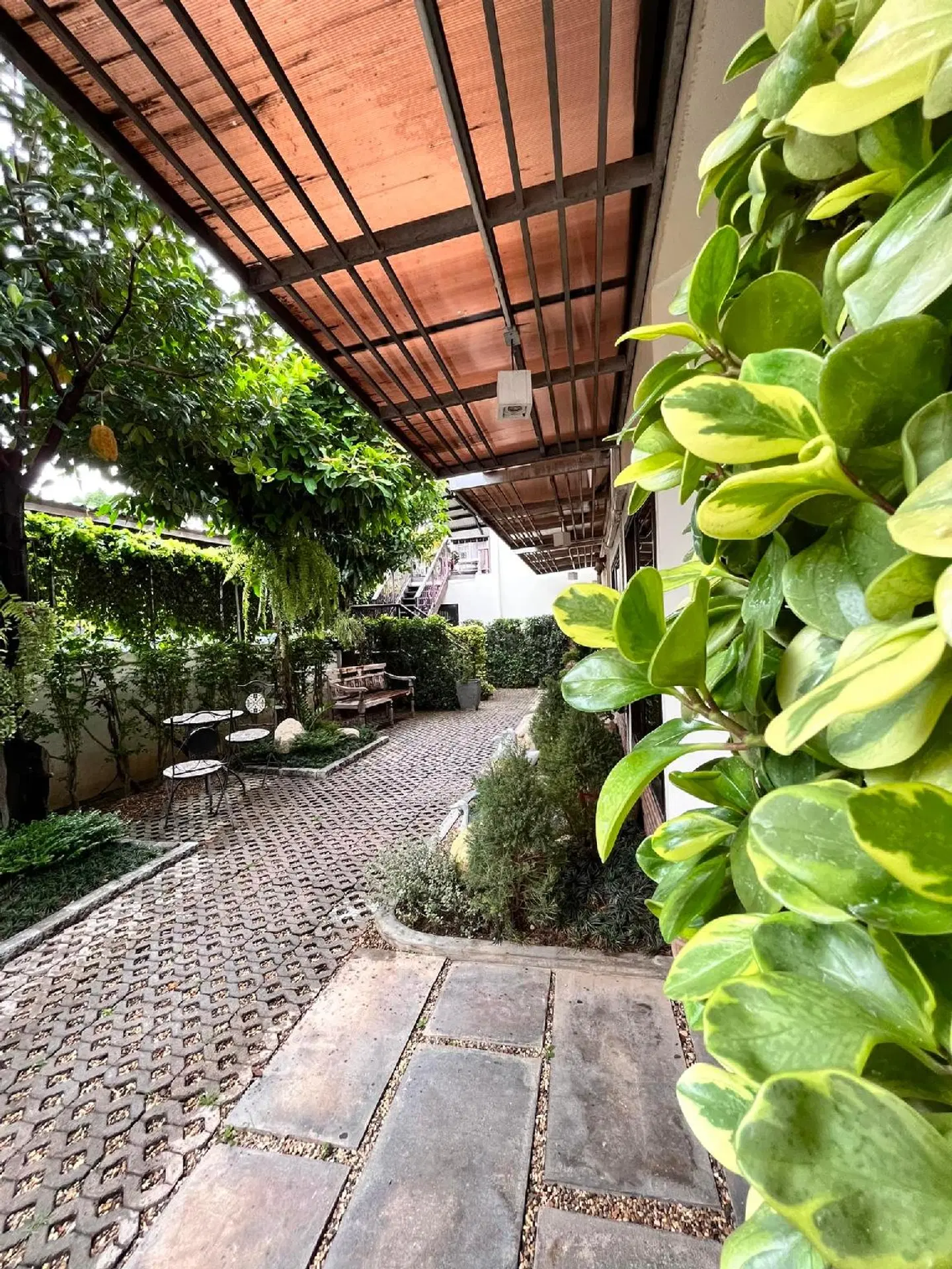 Heuan Pak-Dee Chiangmai Garten