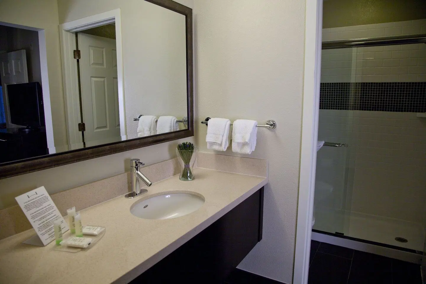 Sonesta ES Suites San Francisco Airport San Bruno Badezimmer