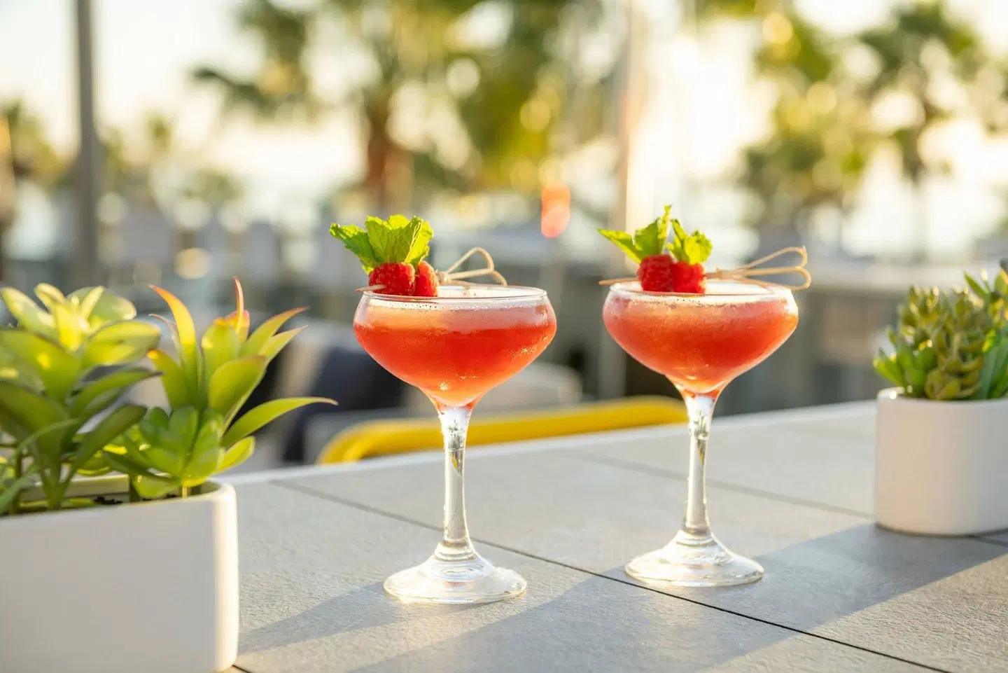 SpringHill Suites by Marriott San Diego Carlsbad Restaurant
