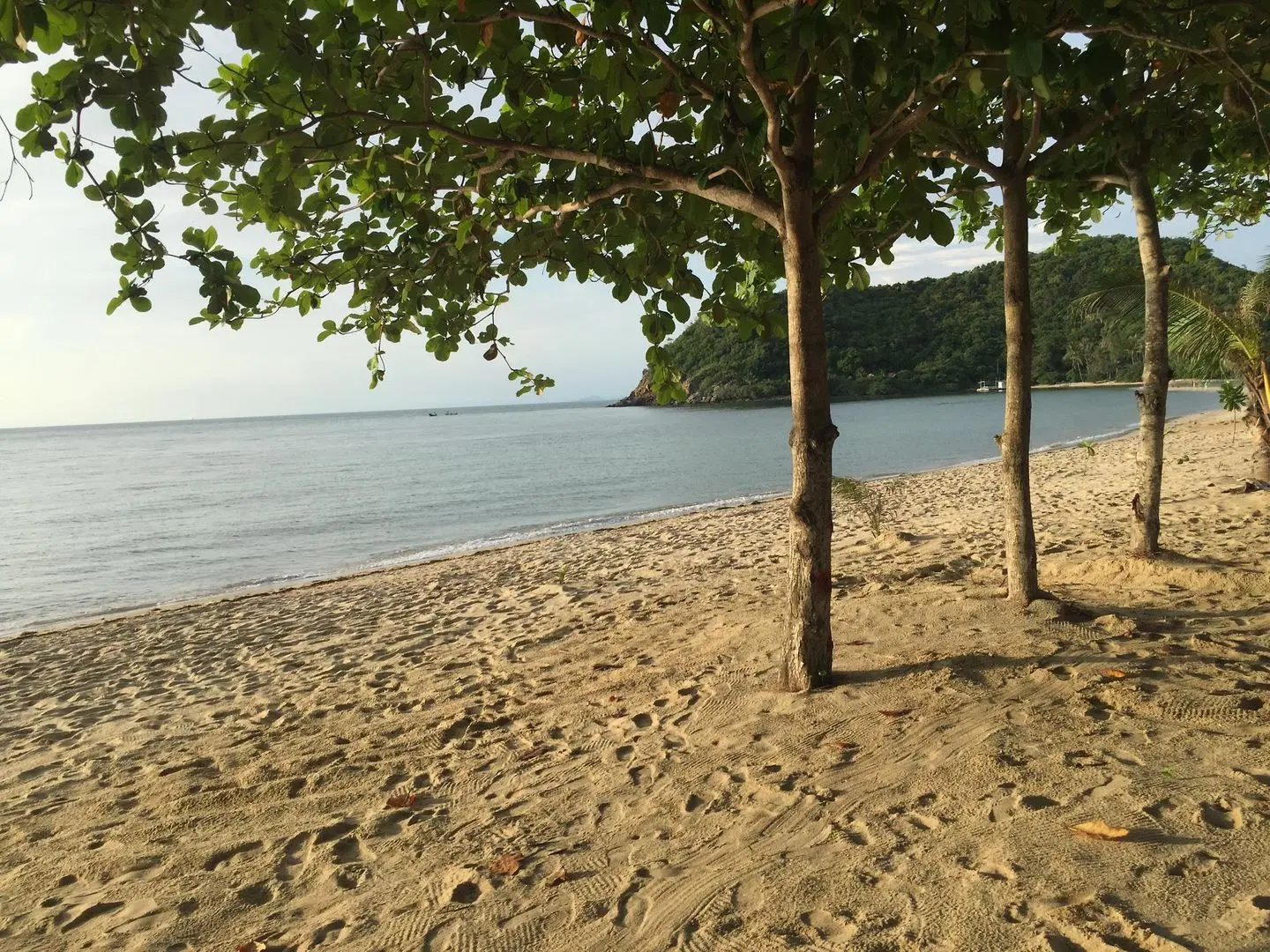 Koh Ma Beach Resort LANDSCAPE