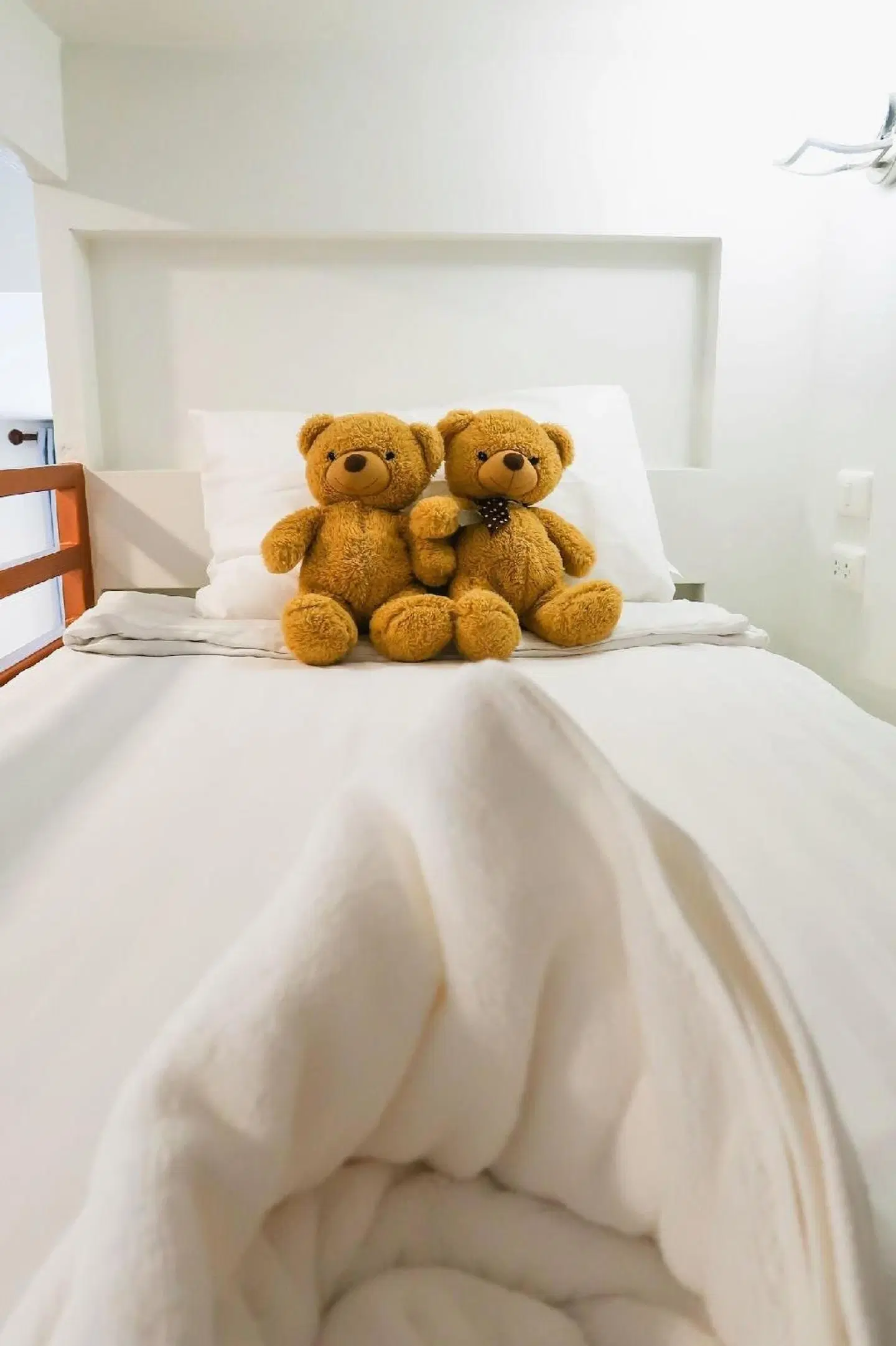 Home de Bear ROOM_EXAMPLE