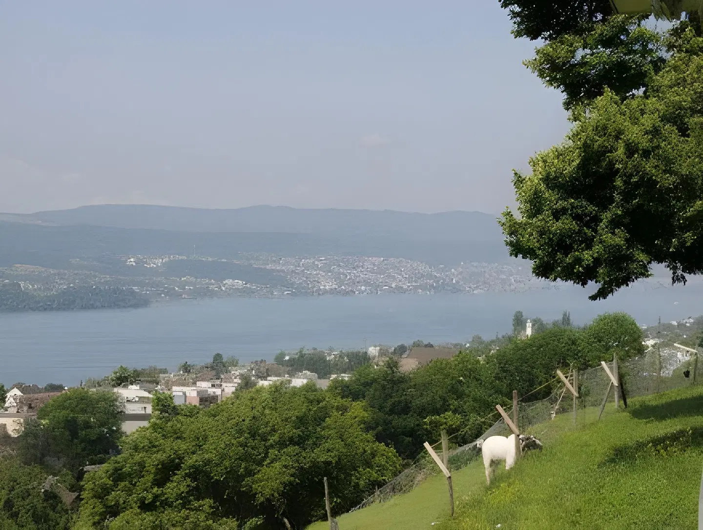Boldern LANDSCAPE