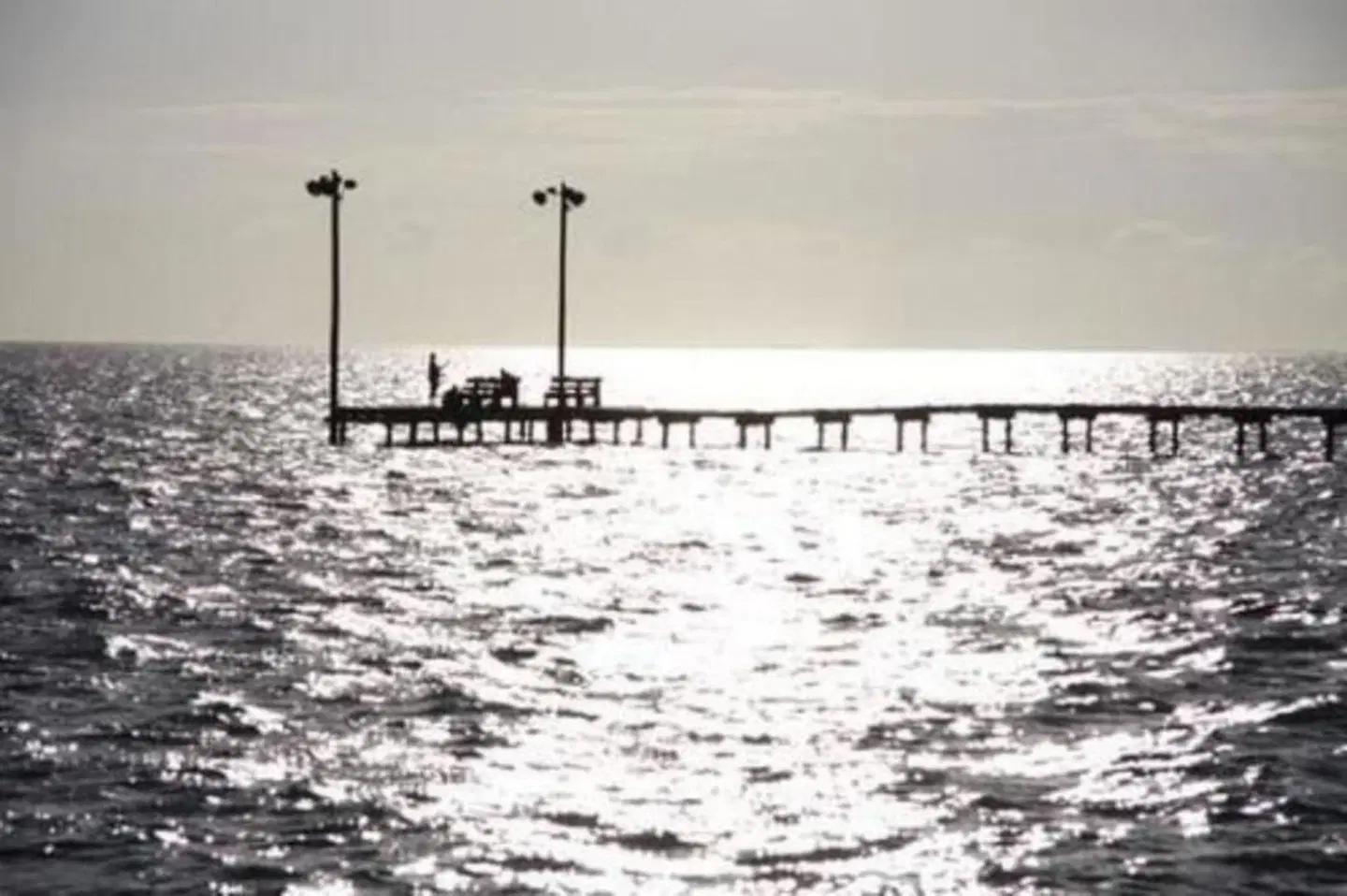 The Peaceful Pelican Strand