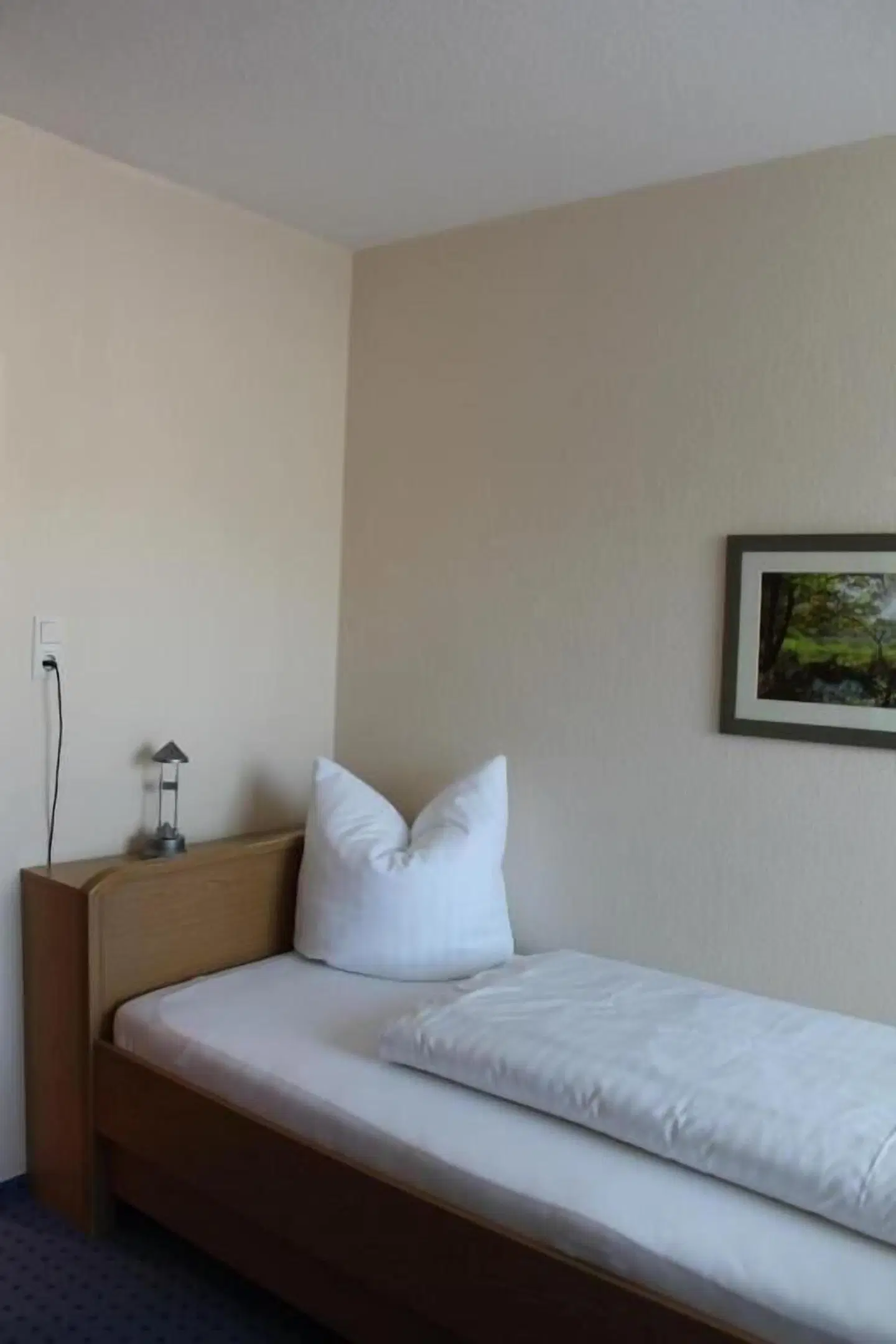 Alleehotel-Eschen ROOM_EXAMPLE