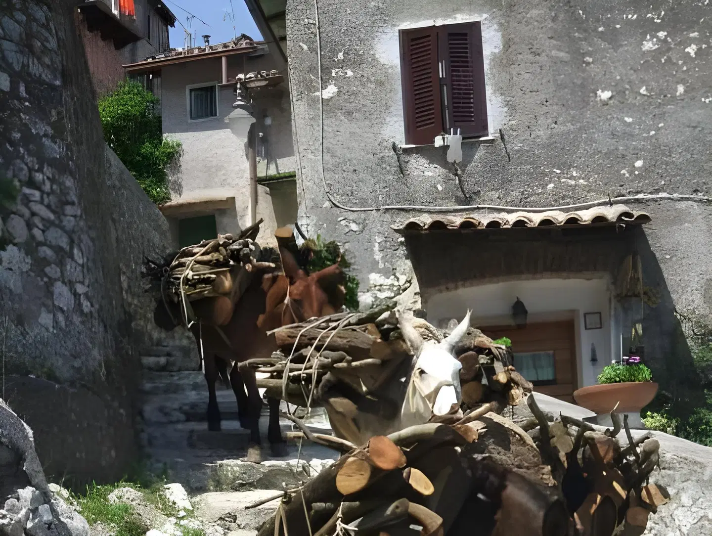 B&B Dell' Artista Terrasse