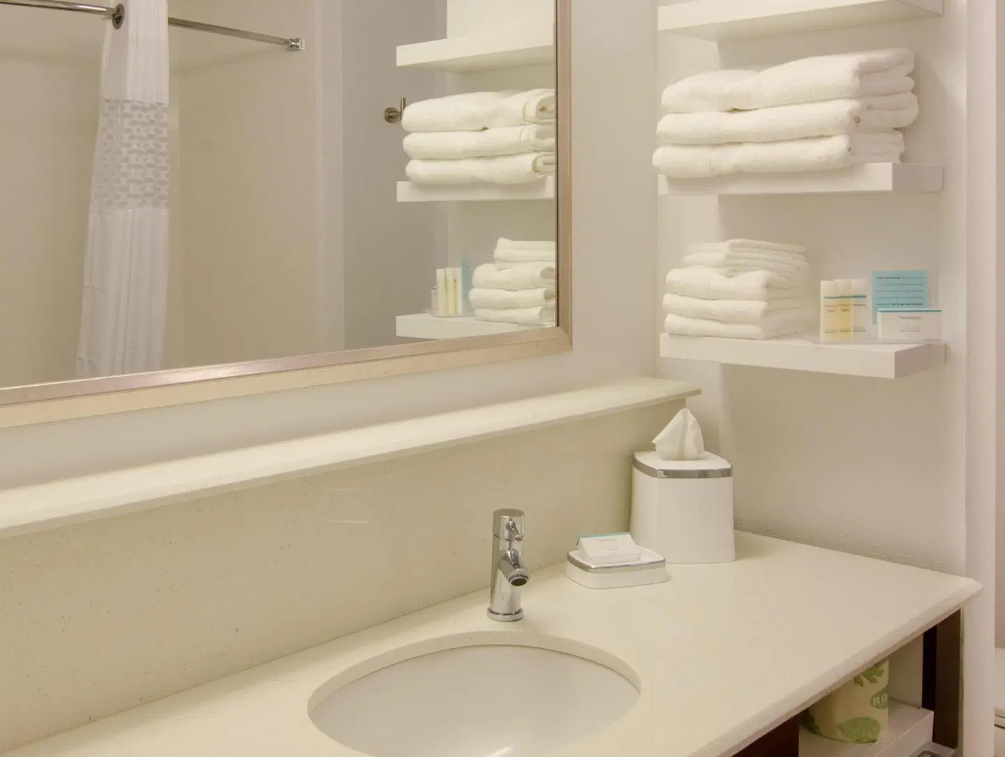 Hampton Inn & Suites Huntsville Badezimmer