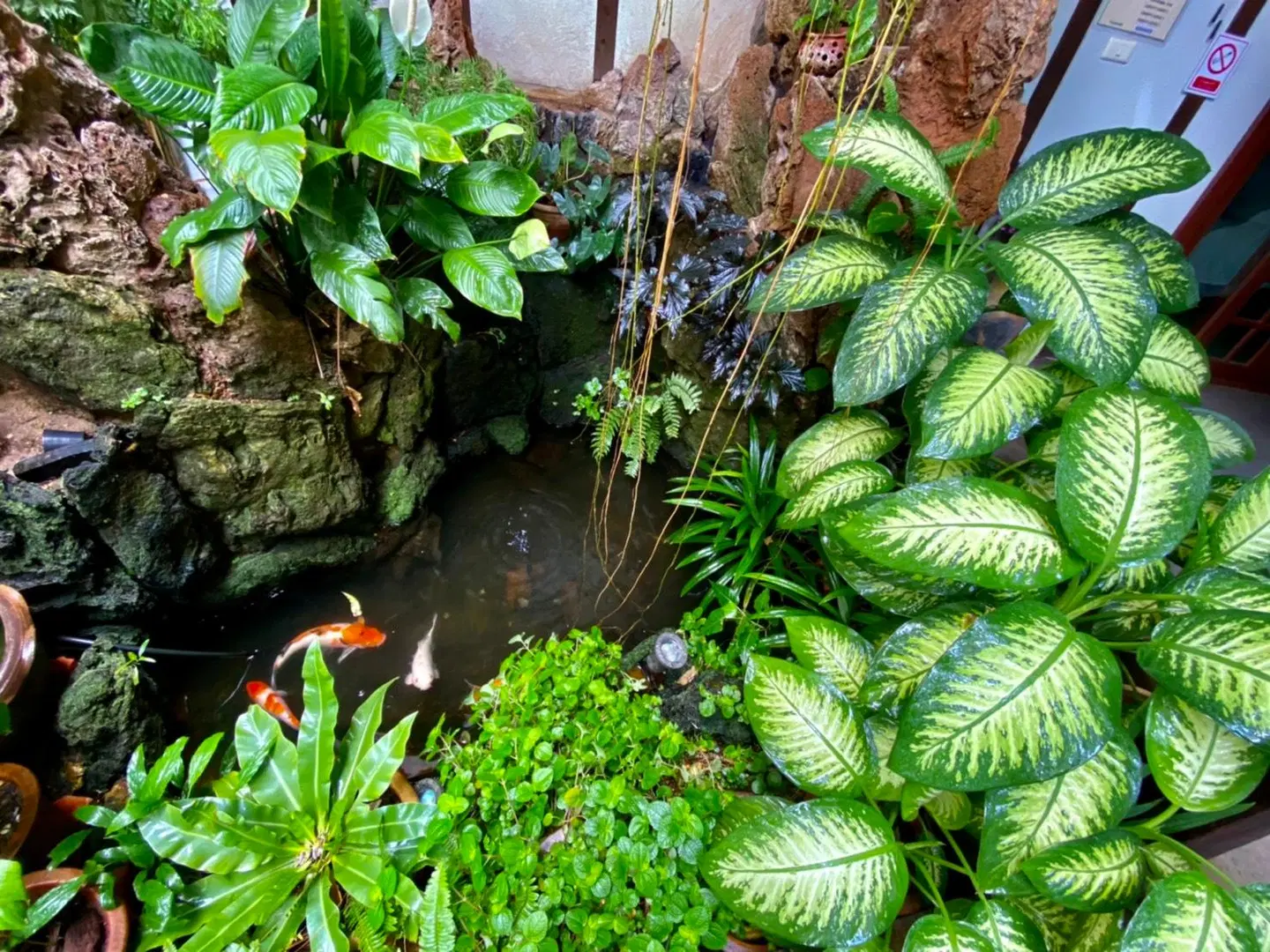 The Twenty Lodge Garten