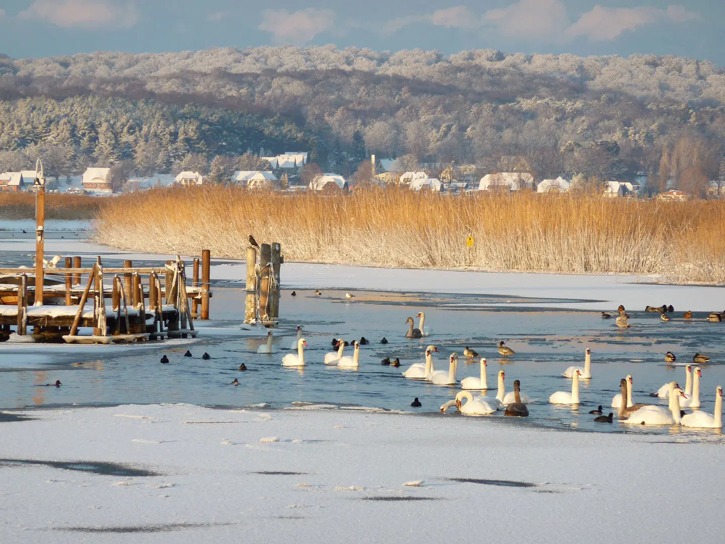 Hotel Solthus am See Strand