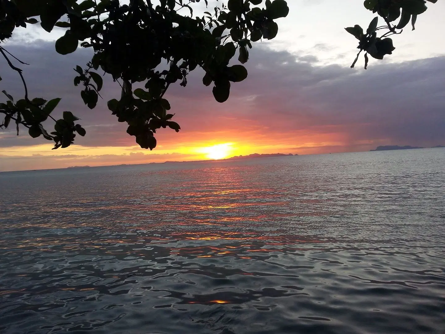 Sri Samui LANDSCAPE