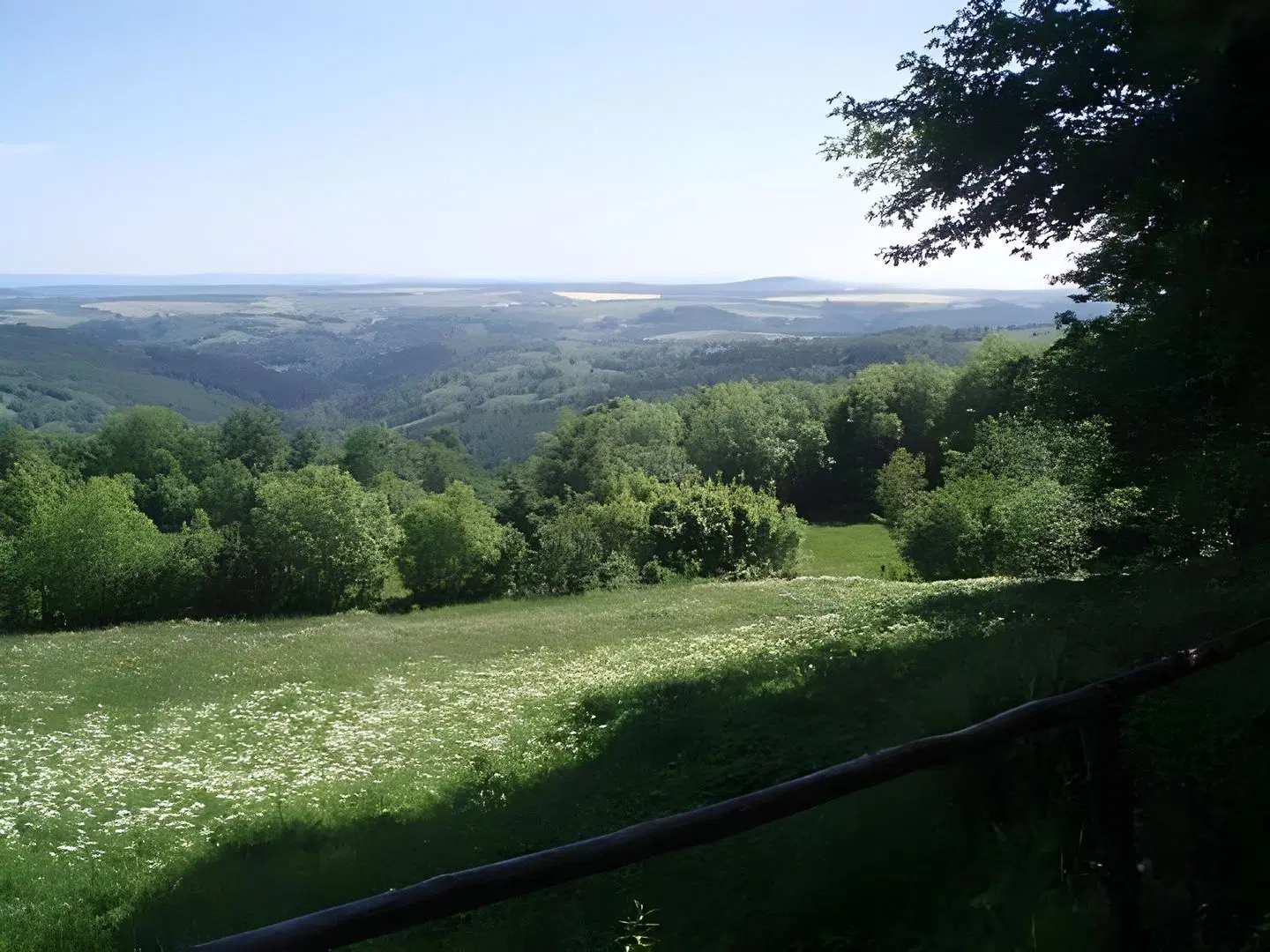 Sartor LANDSCAPE