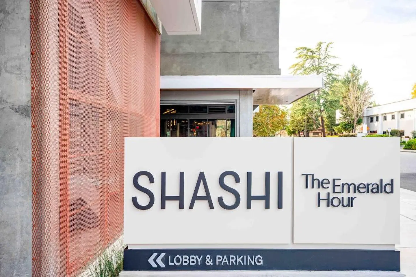 Shashi Hotel Mountain View, an Urban Resort LOUNGE_LOBBY