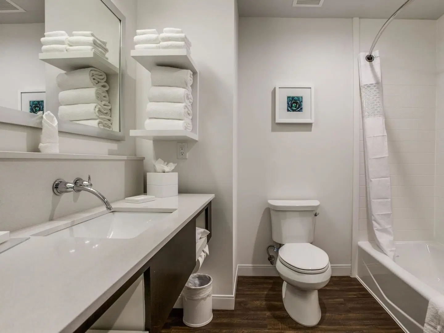 Hampton Inn & Suites Dallas - Central Expy North Park Area Badezimmer