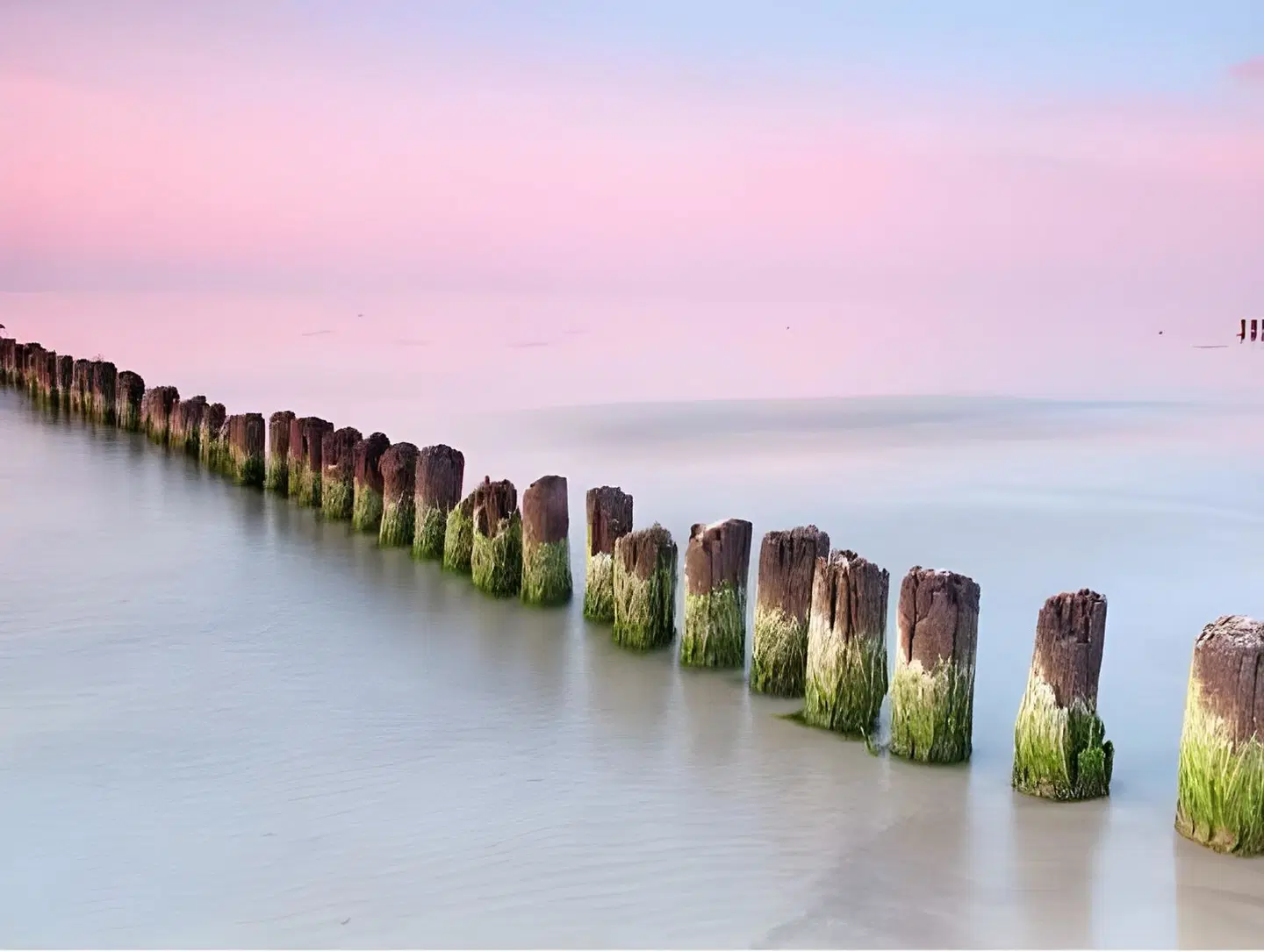 Inselhotel Poel LANDSCAPE