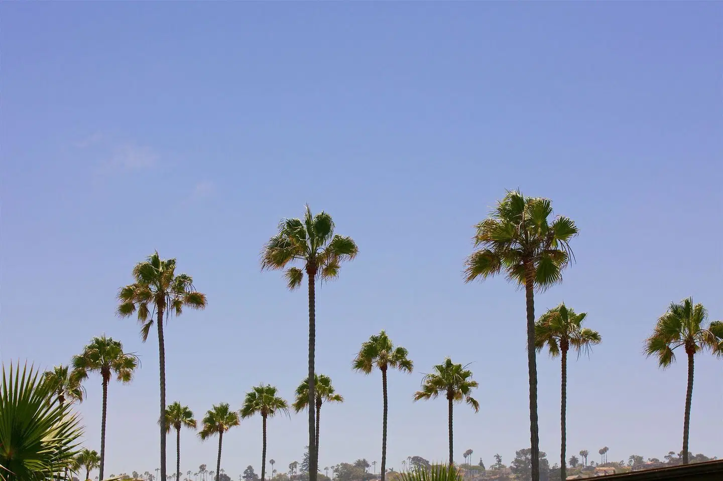 Ocean Beach Hotel LANDSCAPE